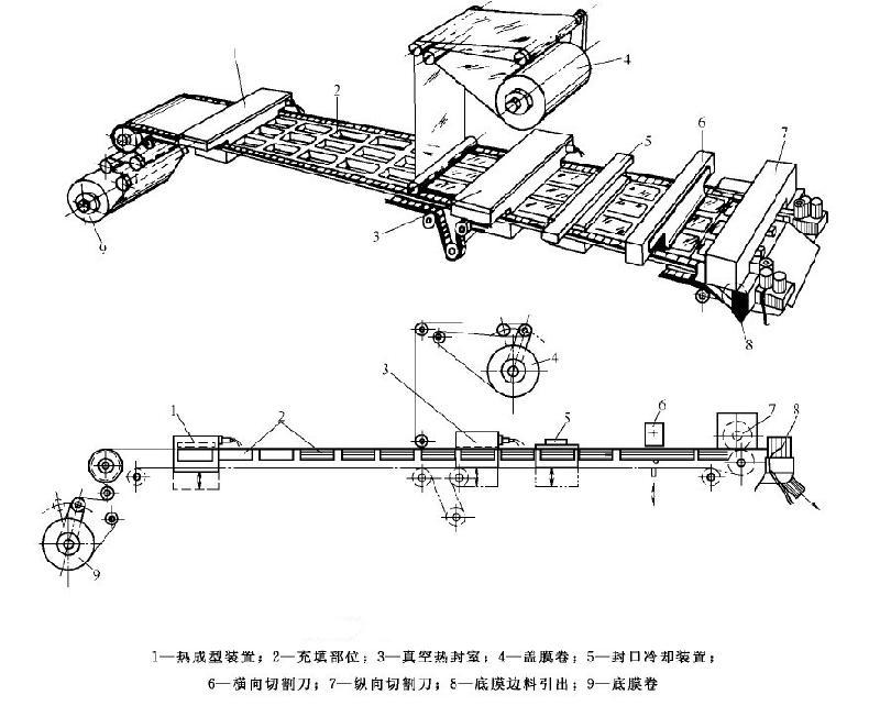 步進(jìn)式大容器熱成型包裝機(jī)