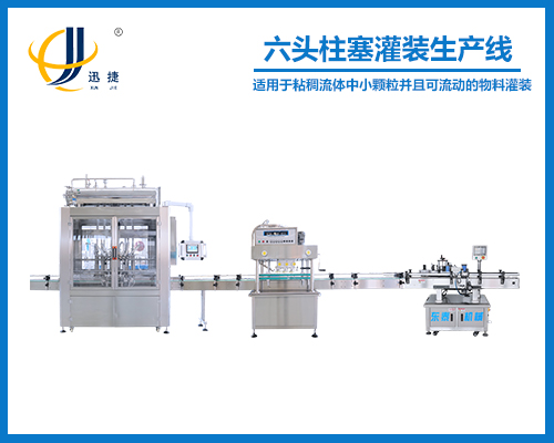 六頭柱塞灌裝生產線